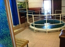 Фото Hostel & Spa