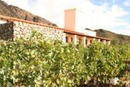 Фото Cafayate Wine Resort