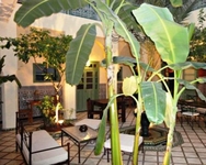 Dar Limoun Dar Limoun