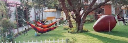 La Casa de Mi Abuela La Casa de Mi Abuela