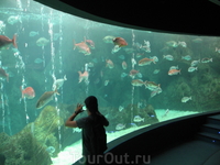 Критский аквариум.