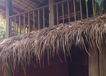 Nam Songsai Eco Lodge