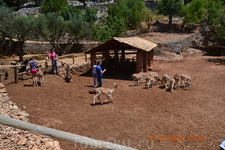 Зоопарк Askos