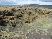 После извержения вулканов, лава начала потихоньку обрастать мхом и всякой непонятной растительностью.
