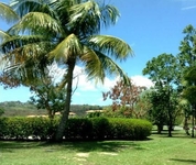 The Woods at Palmas del Mar