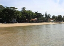 Фото Aree Beach Resort