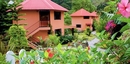 Фото Boquete Garden Inn