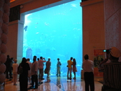 В отеле аквариум