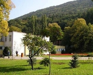 Institut Niska Banja