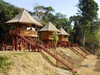Фото отеля Kabalebo Nature Resort