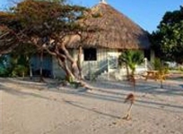 Blackbird Caye Resort