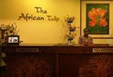 The African Tulip
