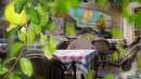 Фото Vila Shkanata