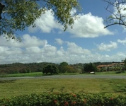 The Woods at Palmas del Mar