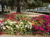 Парк Аль Мамзар