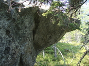 Этот камень напоминает медведя.