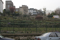 Единственный сохранившийся виноградник на Монмарте. Ежегодно здесь производится около 700 бутылок вина "Clos Monmartre"