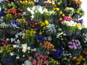 Парад цветов Блюменкорсо 3 мая 2014 года