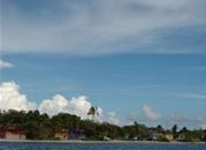Blackbird Caye Resort