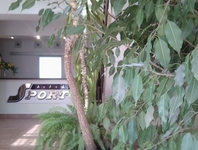 Hotel Sport