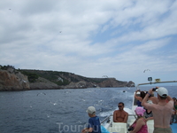 Путешествие на кораблике к островам Медас. Берега Коста Брава. Чайки, преследующие кораблик
