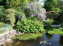 Bed & Breakfast La Cle du Sud Merelbeke-Bottelare