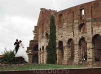 Свадьба) Свадьба)