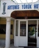 Фото Artemis Yoruk