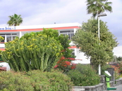 Paseo Costa Canaria