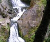 Фотография отеля Above the Raumanga Falls