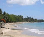 Tobago Island Suites Mount Irvine