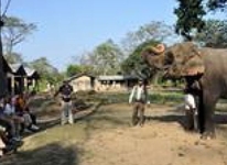 Gaida Wildlife Camp Lodge Chitwan