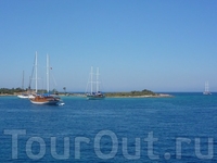 Мамарис 2008 Мамарис 2008