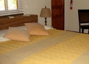 Фото Arubiana Inn