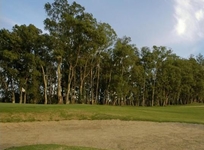 Sheraton Colonia Golf and Spa Resort