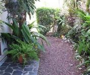 Casa Isabella Costa Rica B & B