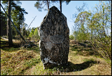 Уникальными памятниками являются  готландские стелы, поставленные на полях 

погребений.

