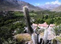 Hacienda Los Andes