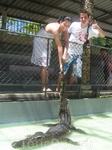 Зоопарк Пхукета и очень тяжелый крокодил.