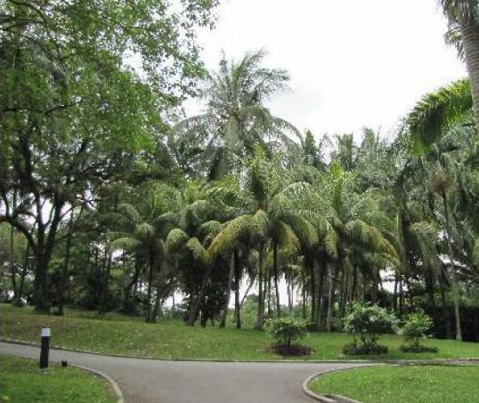 The Beaufort Sentosa Resort