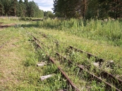 Ехали по вот такой узкоколейке- прикольно.