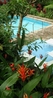 Фото Golden Frog Inn