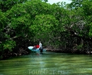 всегда беру экскурсии по мангровым зарослям. И ВАМ СОВЕТУЮ