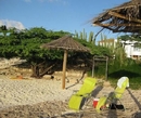Фото Arubiana Inn