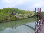 Симпатичный мостик в мангровых зарослях