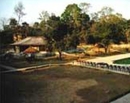 Фото Rhino Residency Resort Chitwan
