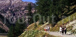 Hotel Amerikan Hotel Amerikan