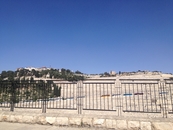 Старое Иерусалимское кладбище. 
У иудеев есть интересный обычай, на кладбище никто не приносит цветов,вместо них все кладут камушки.