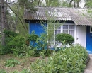 Фото Магарач