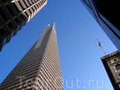 Transamerica Pyramid является самым высоким и самым узнаваемым небоскребом в Сан-Франциско! 